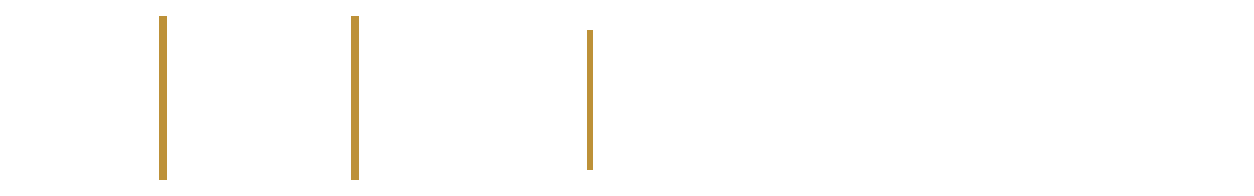 BSV Content